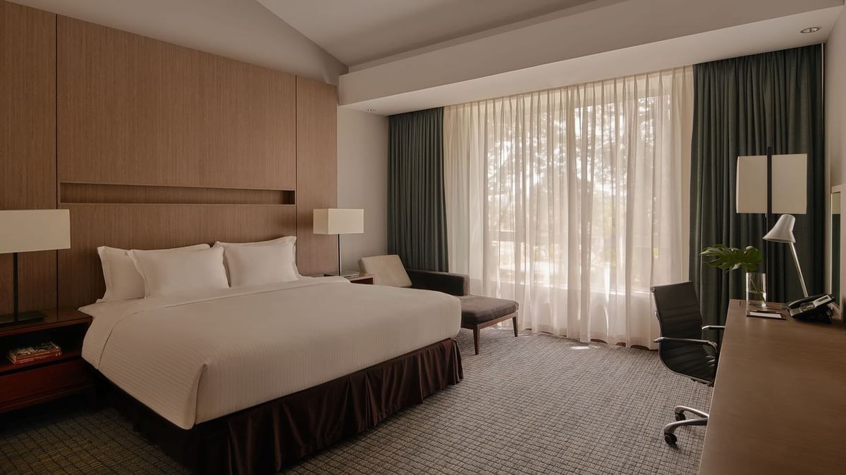 豪华特大床客房