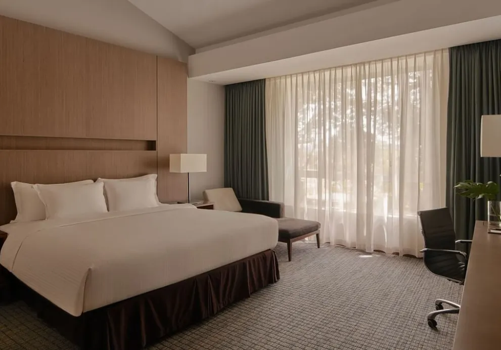 豪华特大床客房