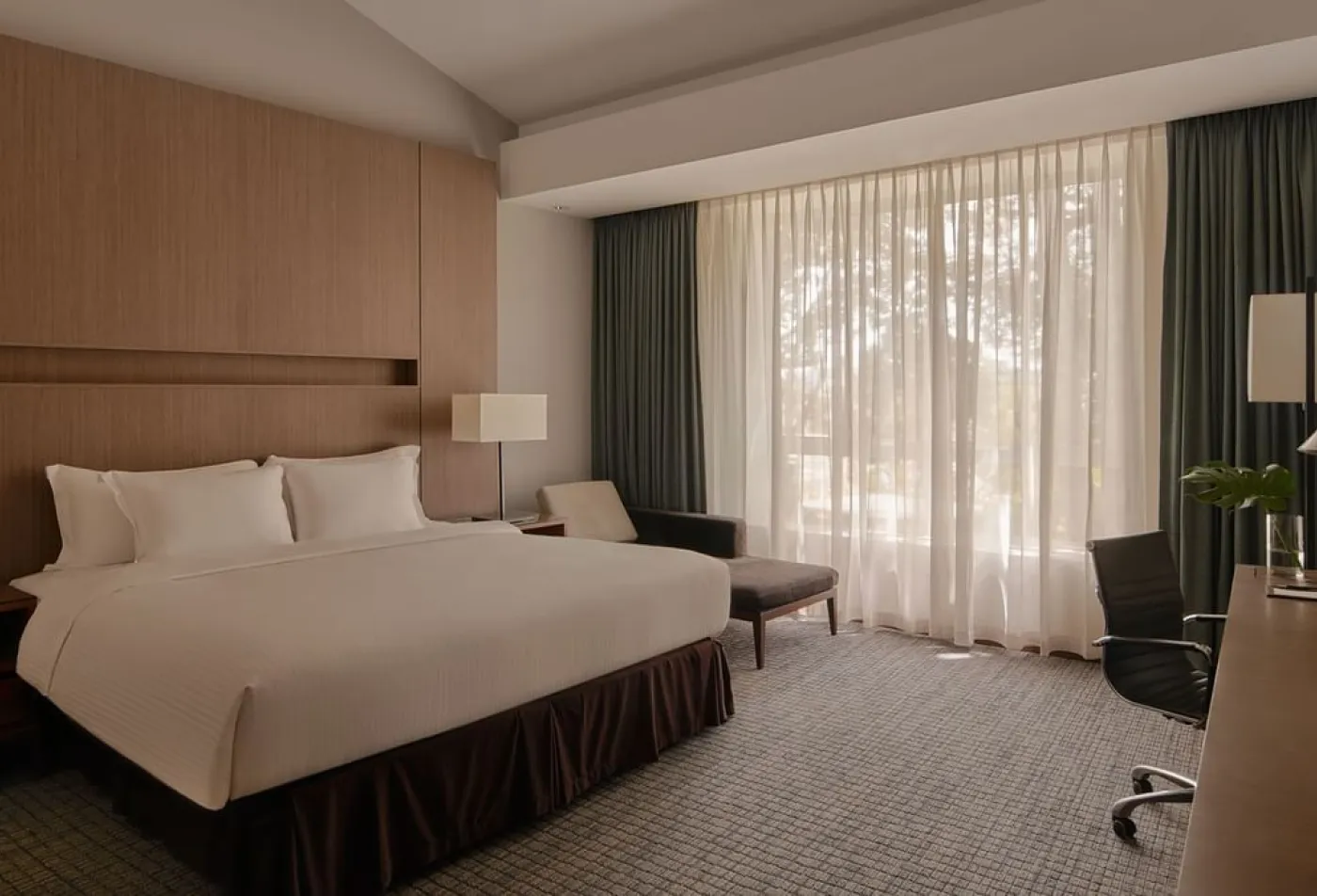 豪华特大床客房